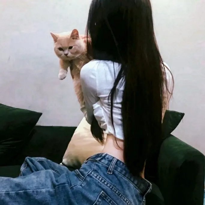 丢羊